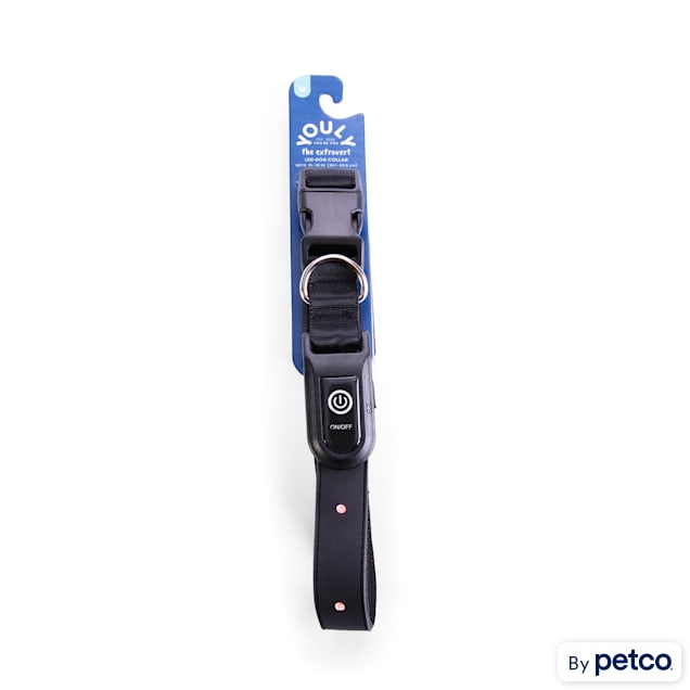 YOULY The Extrovert Black LED Dog Collar Small