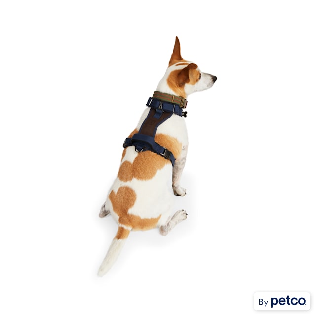 Fleece dog harness with front ring sales