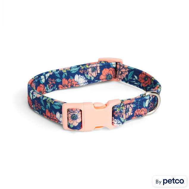 Petco online kong collar