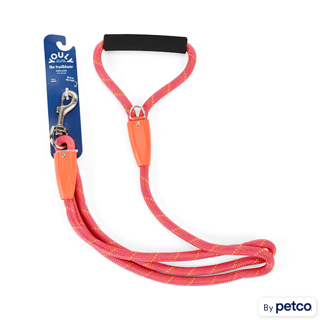 Leashes top at petco