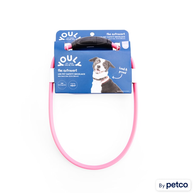 YOULY The Extrovert LED Pet Safety Necklace - Carousel image #1