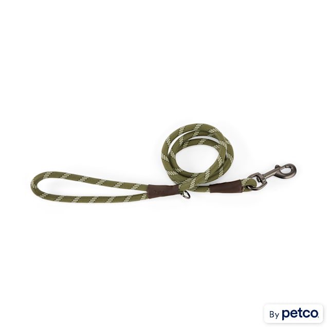 Reddy Small Dog Olive Leash, 4 ft. - Carousel image #1