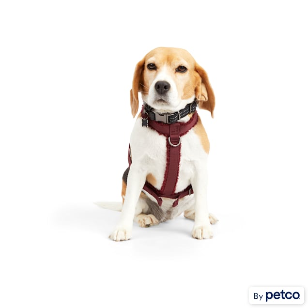Reddy Burgundy Fleece Dog Harness Medium Petco