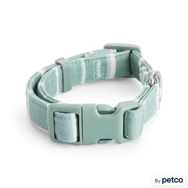 YOULY The Artist Green Striped Small Dog Collar, Small | Petco