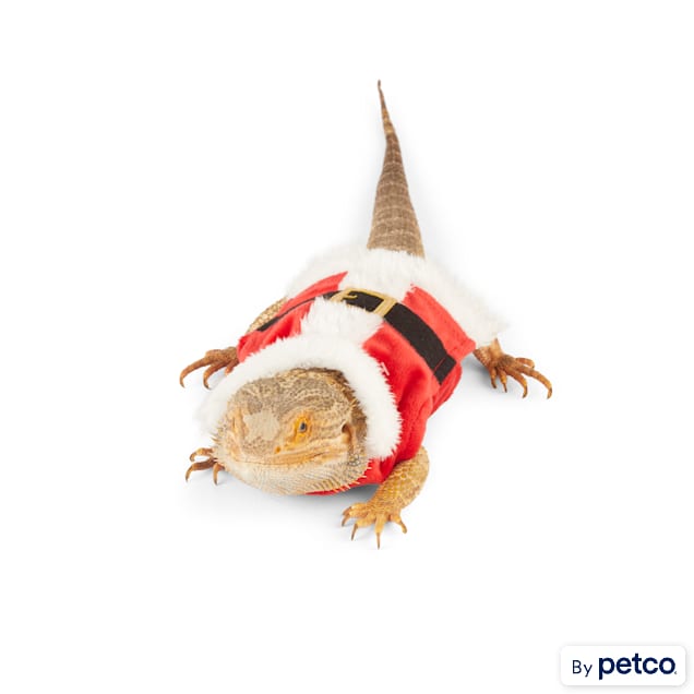 Merry Makings Santa Suit Bearded Dragon Costume - Carousel image #1
