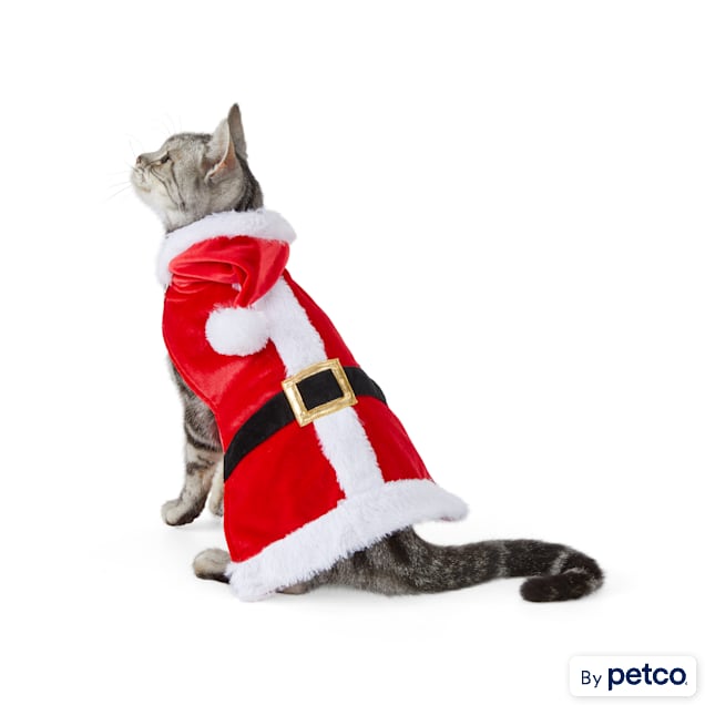 Christmas cat suit clearance