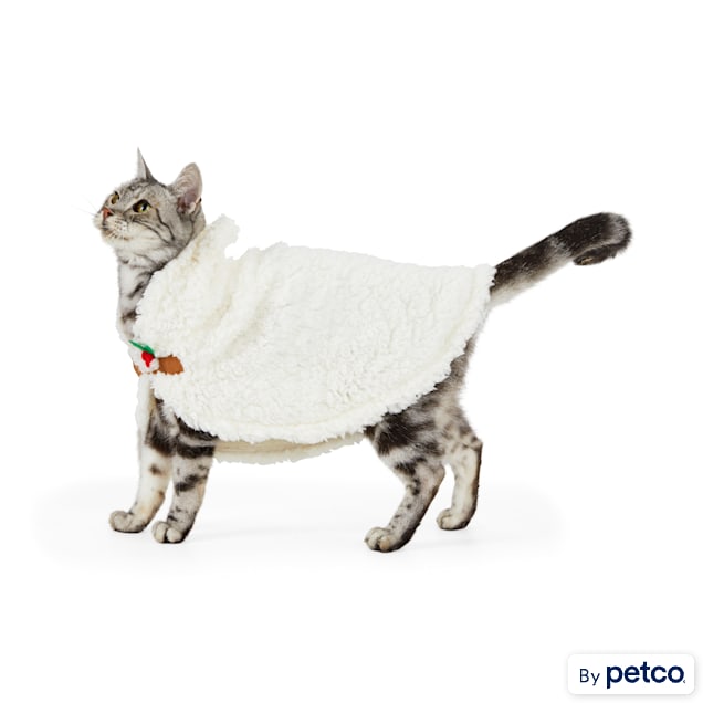 Petco cat stuff store