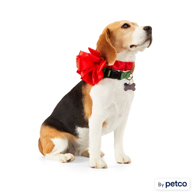 Christmas bow ties for dogs sale