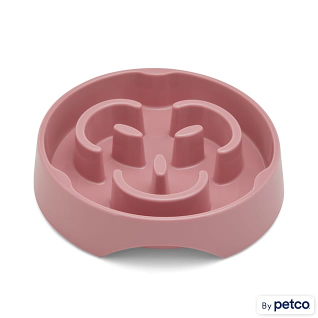 EveryYay Take it Slow Mauve Slow Feeder Pet Bowl, 1.6 Cups - Carousel image #1