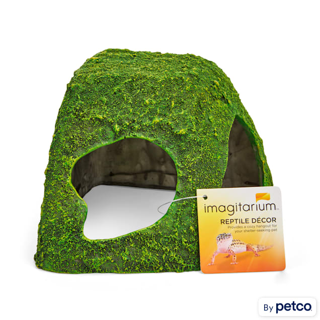 Imagitarium Moss Covered Reptile Hideaway Petco