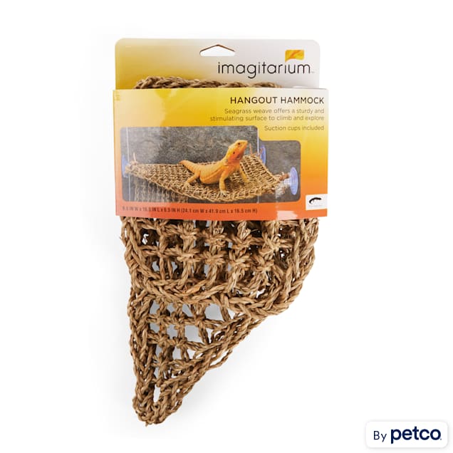 Bearded dragon leash clearance petco