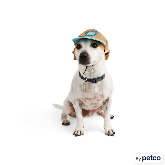 YOULY Patches Dog Hat, X-Small/Small - Carousel image #1