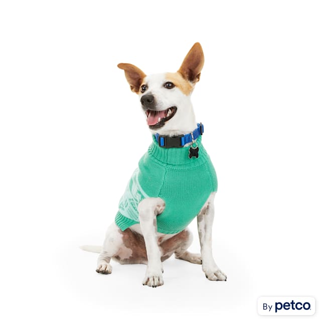YOULY Teal Dog Sweater Medium