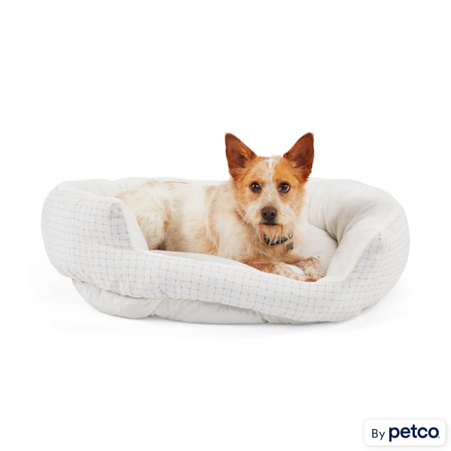 EveryYay Essentials Snooze Fest Gray Round Dog Bed, 36" L X 30" W X 10" H - Carousel image #1
