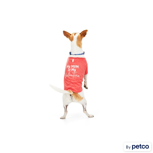 YOULY My Mom is My Valentine Dog Tee, XX-Small - Carousel image #1