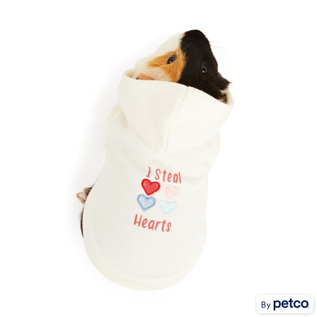 YOULY Guinea Pig Hoodie - Carousel image #1