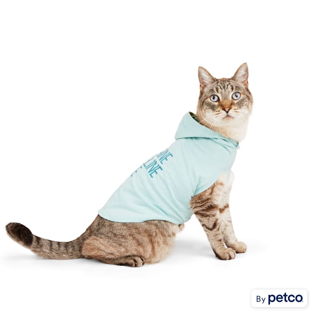 Petco cat clothes 2025