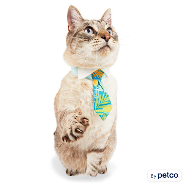 YOULY Cat Tropic Palm Tie, Large/X-Large | Petco