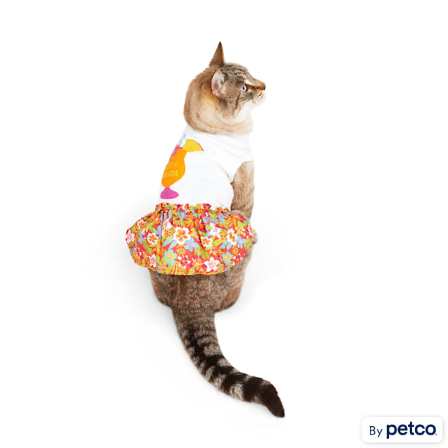Petco cat hot sale clothes