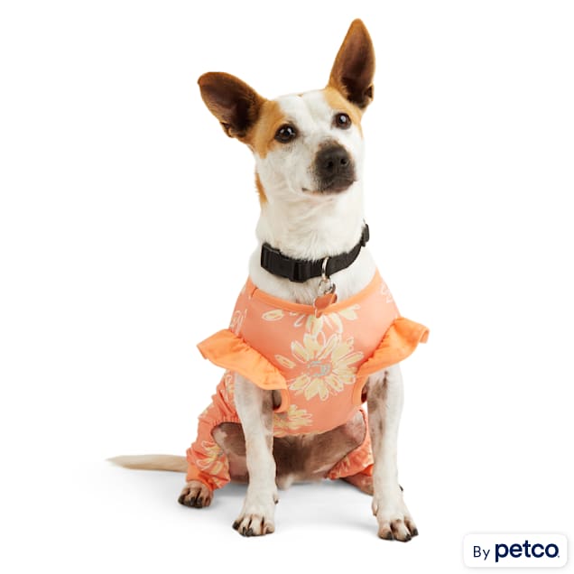 Dog onesies petco hotsell