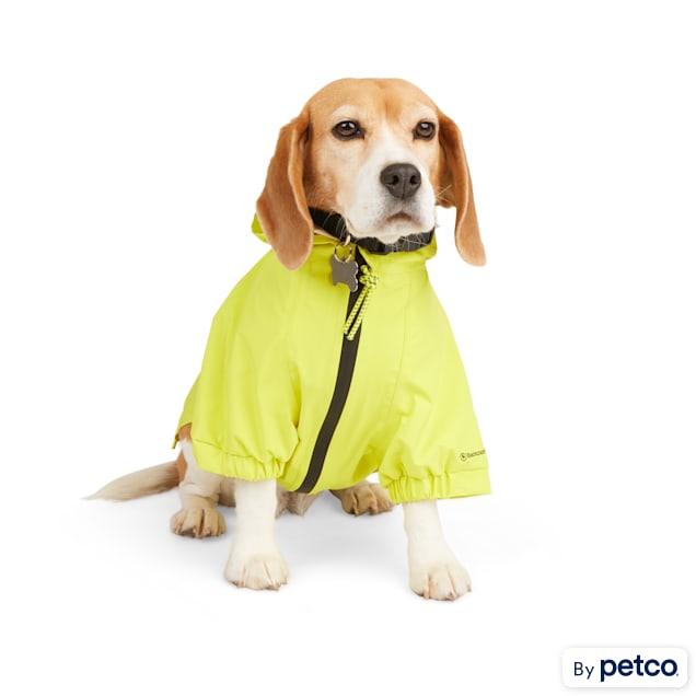 Backcountry x Petco The Yellow Rain Dog Jacket Large