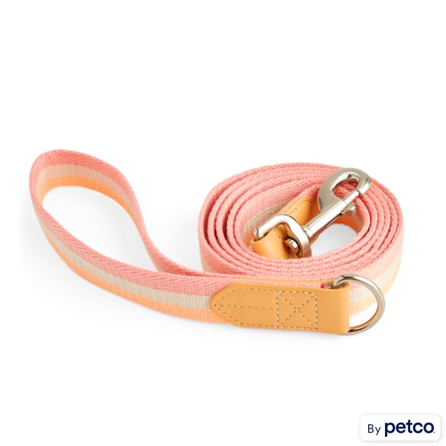 YOULY Creamsicle Dog Leash 6 ft. Petco