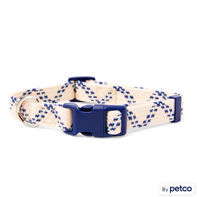 Dog Collar Styles for Every Dog