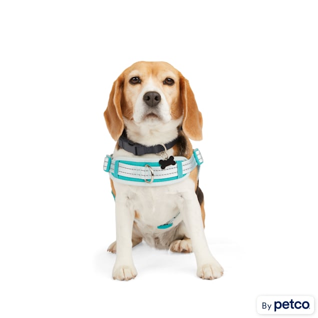 EveryYay Blue Easy On Training Dog Harness, X-Small Petco