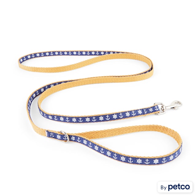 Dog top lead anchor