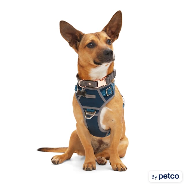 Petco clearance dog leads