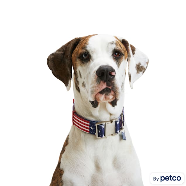 Dog collars hot sale petco