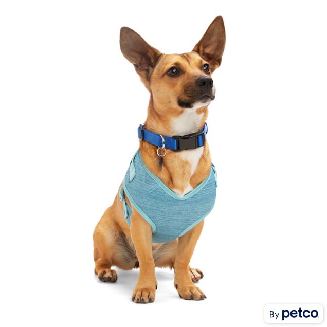 Petco kong harness sales