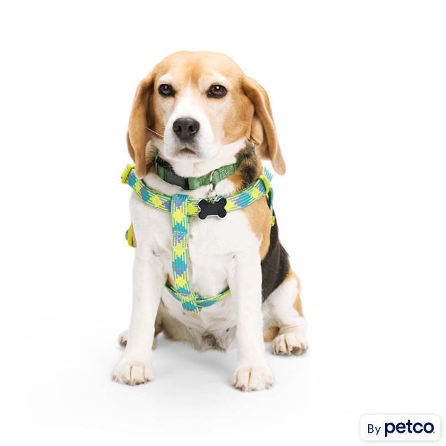 Bird harness petco 2025