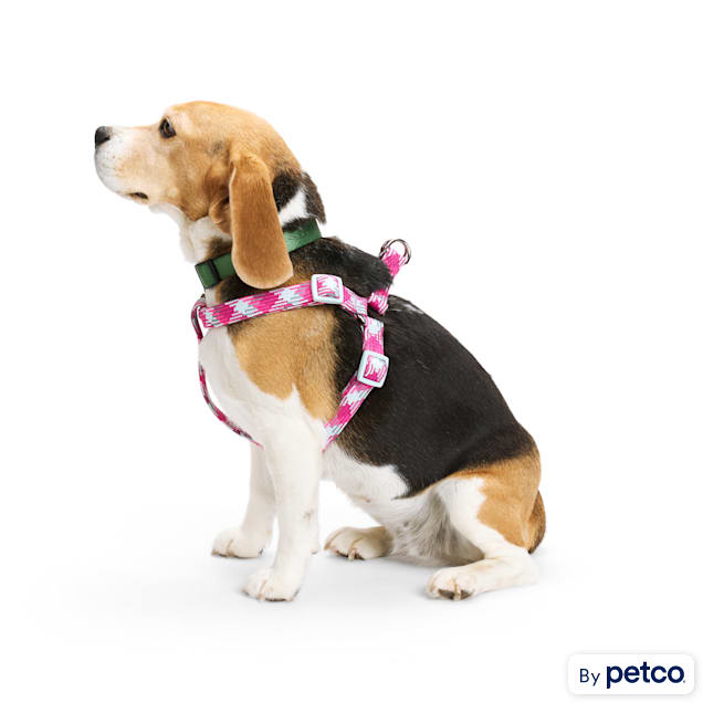 Pink Dog Leashes, Collars, and Harnesses