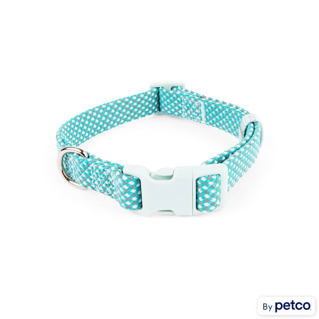 Cute designer customized best dog collar for girls and boys