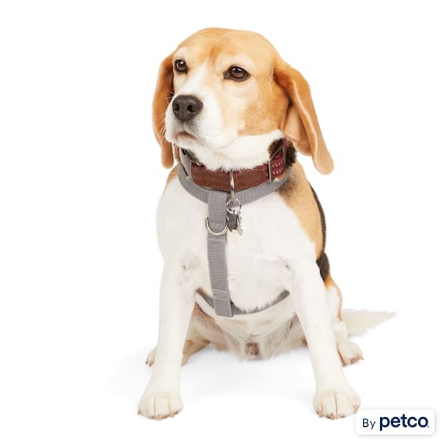 Reflective dog harness and leash online