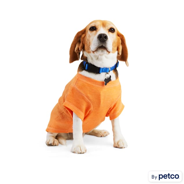 Petco dog t shirts discount