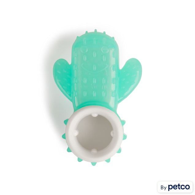 Petco outlet dog toys