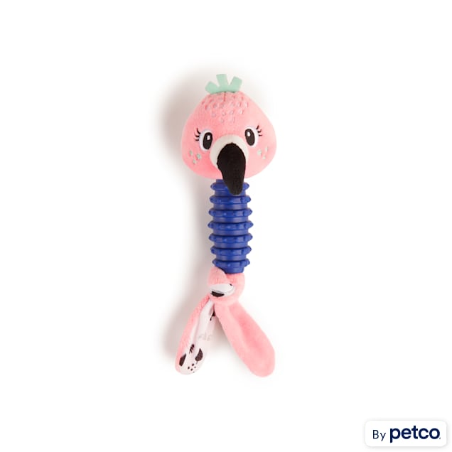Petco dog chew toys top
