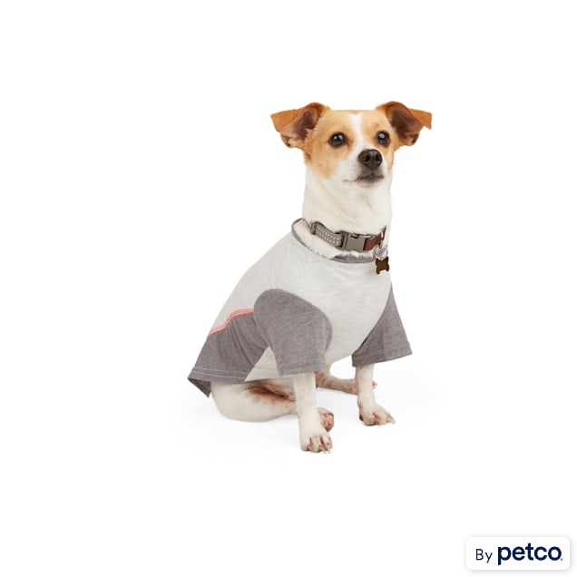 Reddy dog shirt hot sale
