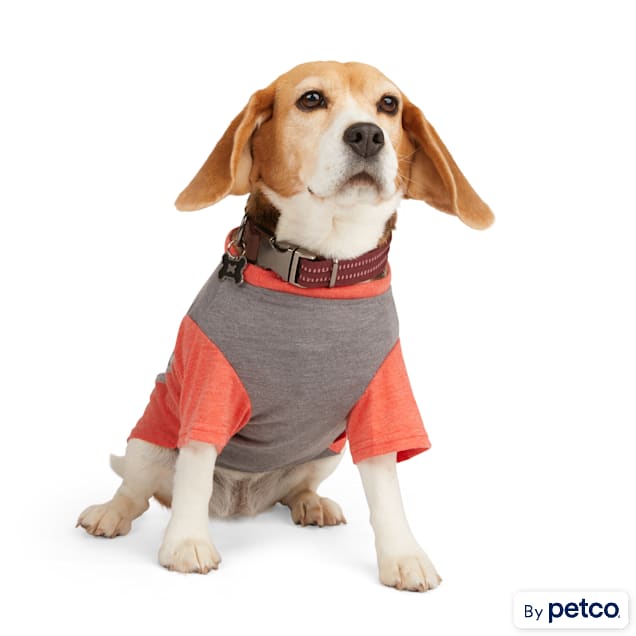 Petco dog t store shirts