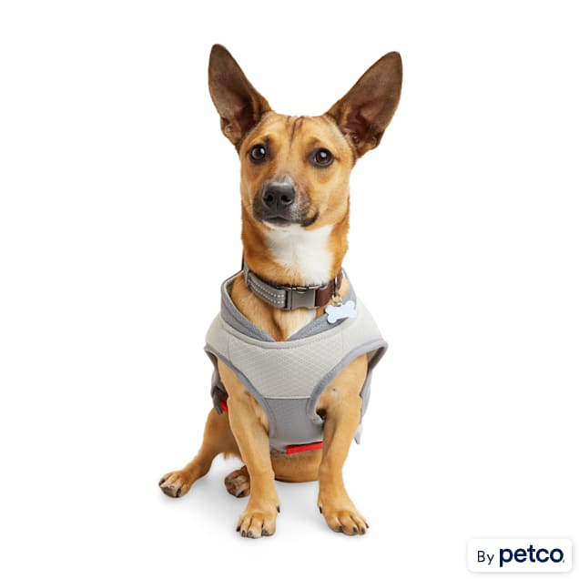 Large deals dog vest