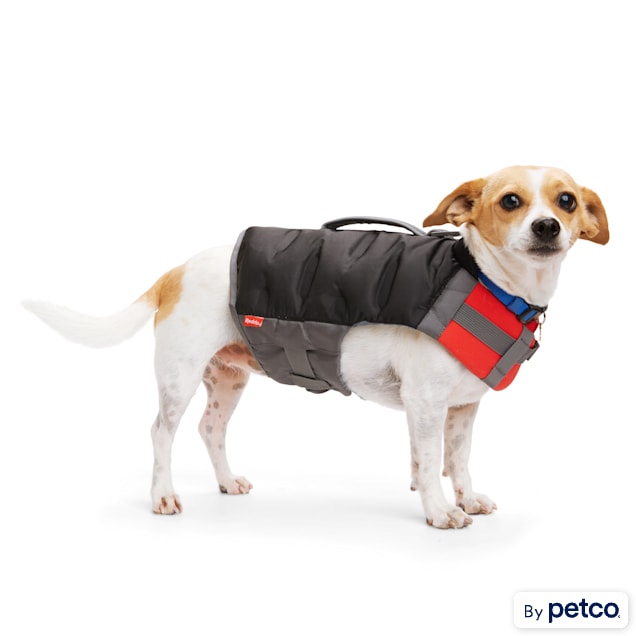 Black sales dog vest