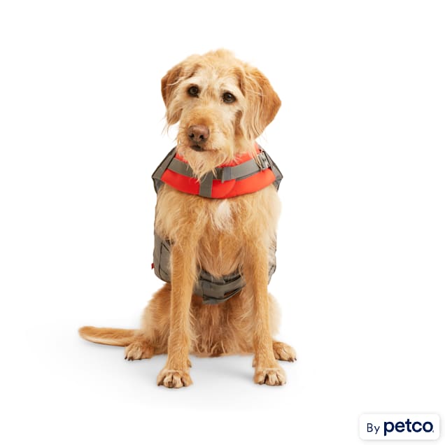 Therapy dog discount vest petco
