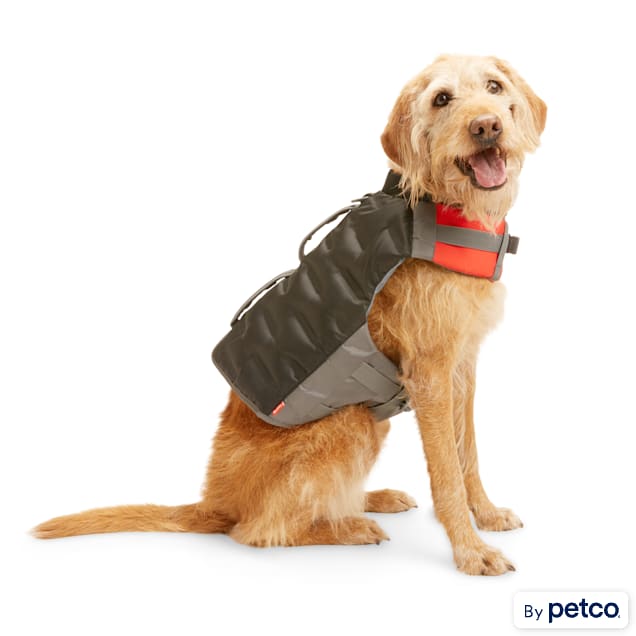 Petco dog sales flotation vest