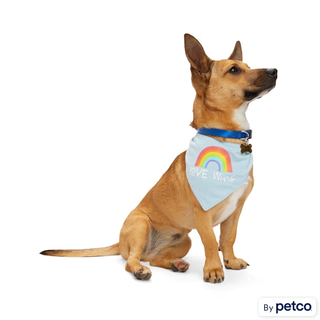 Petco dog bandana 2025