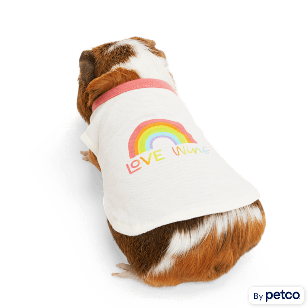 YOULY Small Animal Pride T-Shirt - Carousel image #1