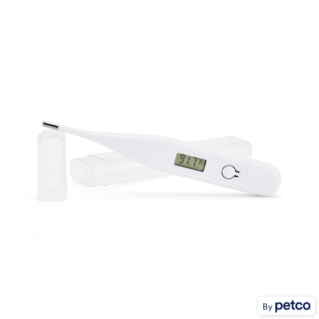Cat thermometer clearance petsmart