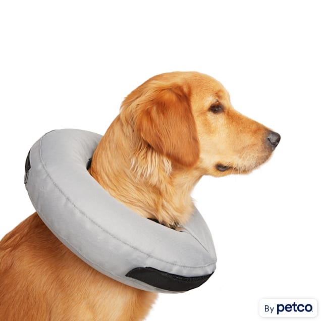 Can my dog sleep with an inflatable best sale collar
