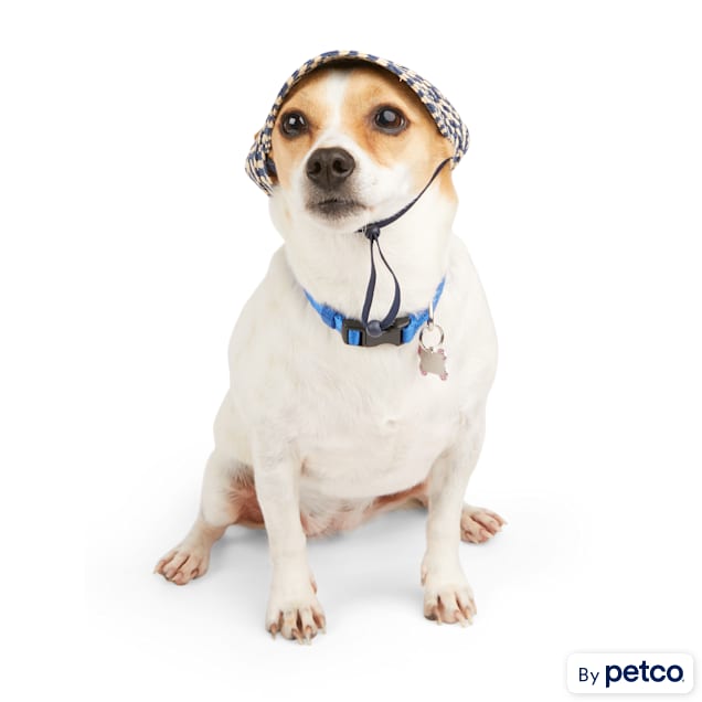 Sun visors sales for dogs